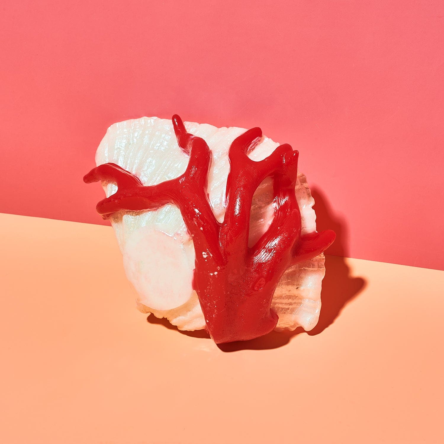 Shell With Coral Candle Candle - Novelty - Unique