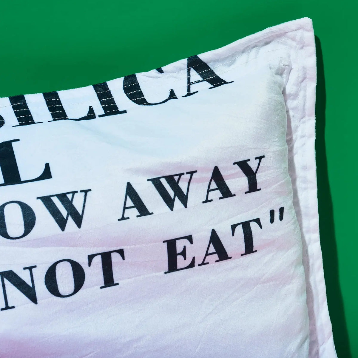 Silica Gel Packet Throw Pillow | Home Decor at Friends Nyc