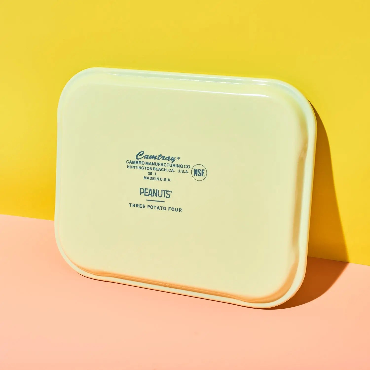 Snoopy & Woodstock Watermelon Tray | Friends Nyc Brooklyn Ny