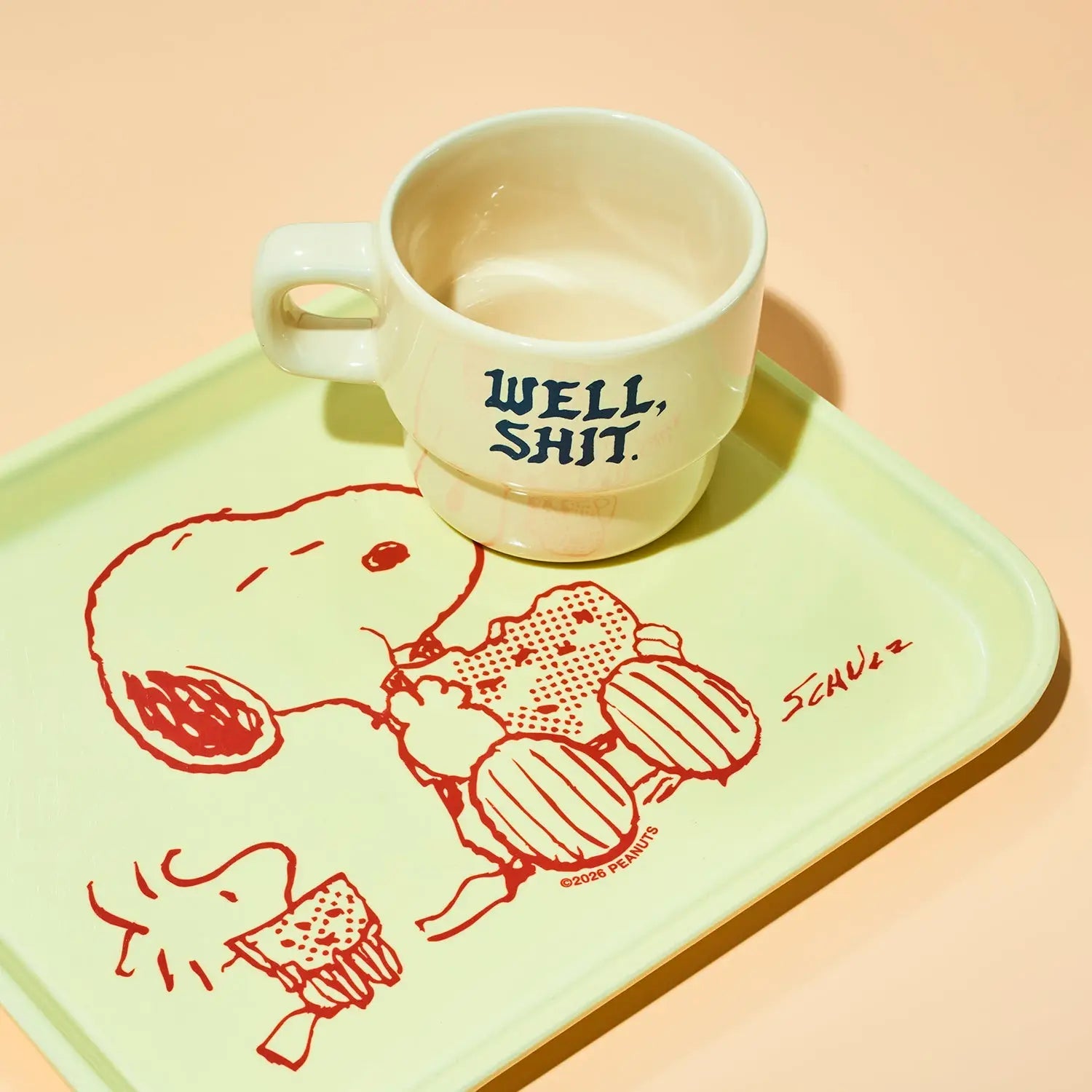 Snoopy & Woodstock Watermelon Tray | Friends Nyc Brooklyn Ny