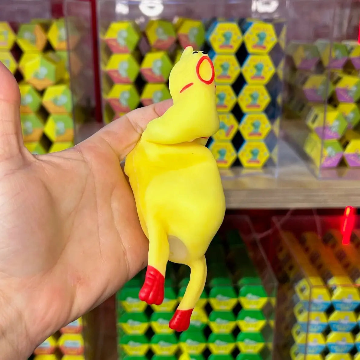 Squeaking Rubber Chicken | Friends Nyc Brooklyn Ny