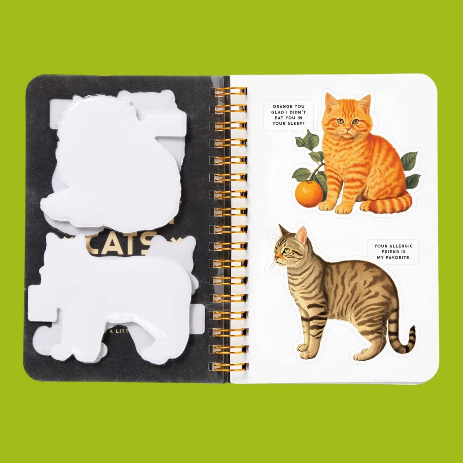 Sticker Book Moody Cats Activity Book - Art - Cat - Gift