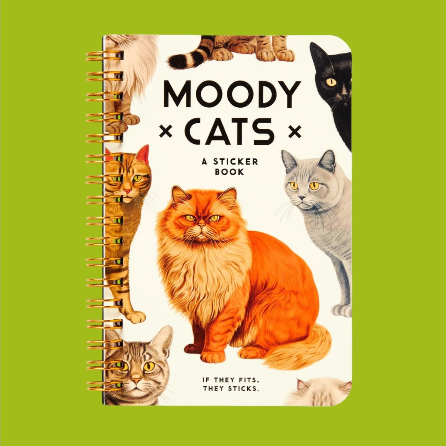 Sticker Book Moody Cats Activity Book - Art - Cat - Gift
