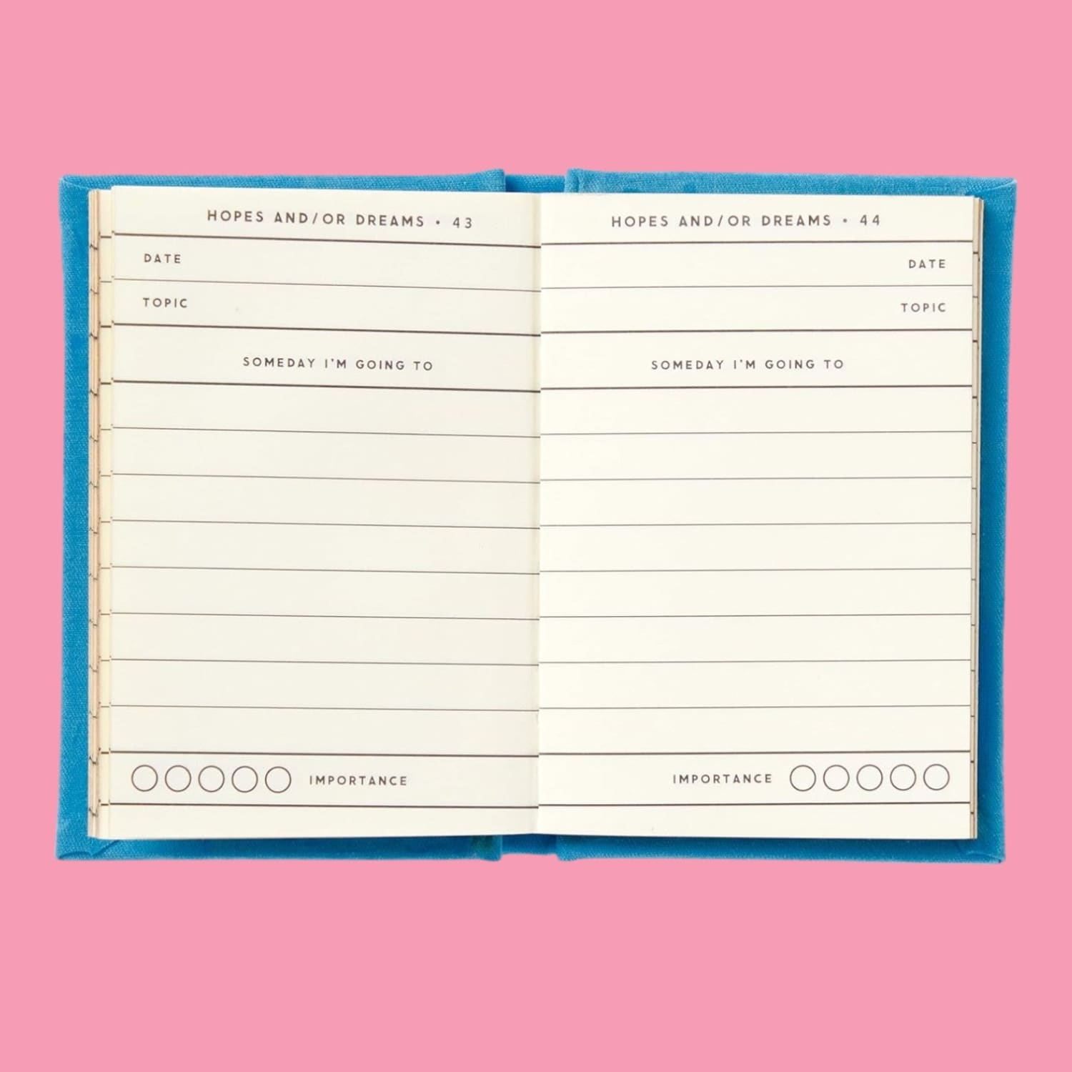 A Tiny Diary of Hopes and Dreams Book - Journal