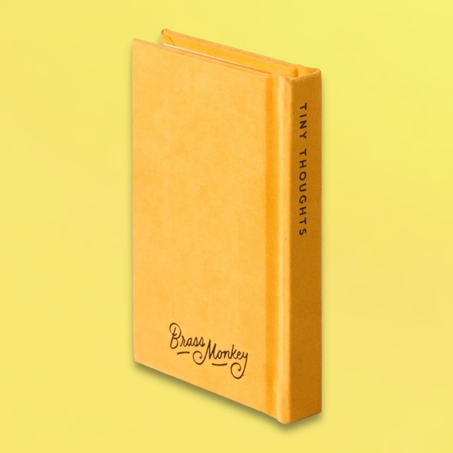 A Tiny Diary Web0524 - Webq224 - Xpsd0524a