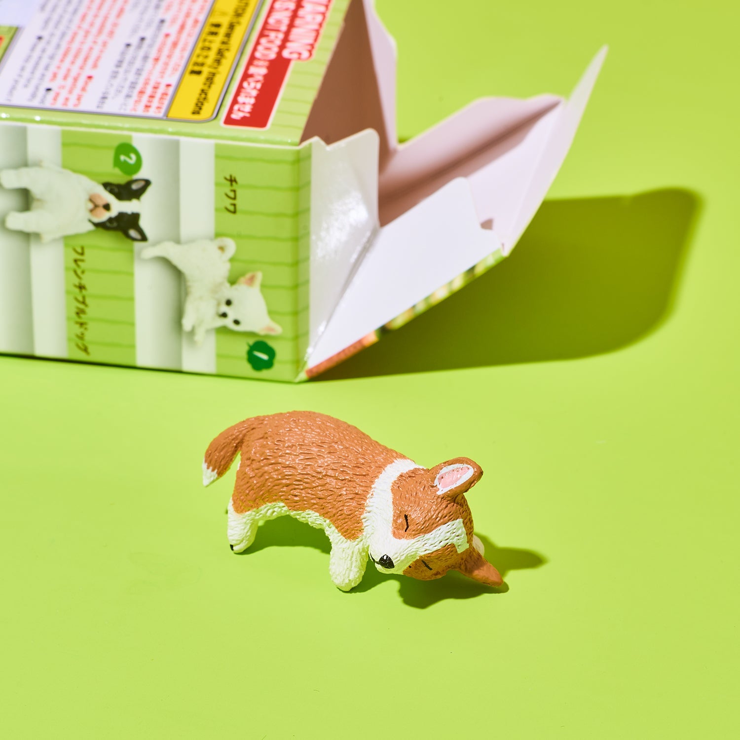 Small dog figurine in front of a box with cat illustrations on a green background