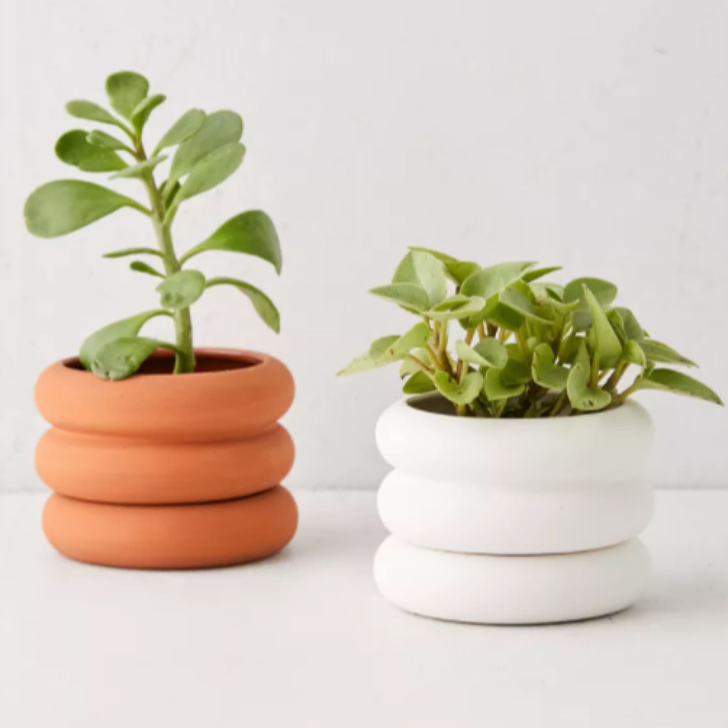 Areaware Mini Stacking Planter Areaware - Elevated Design -