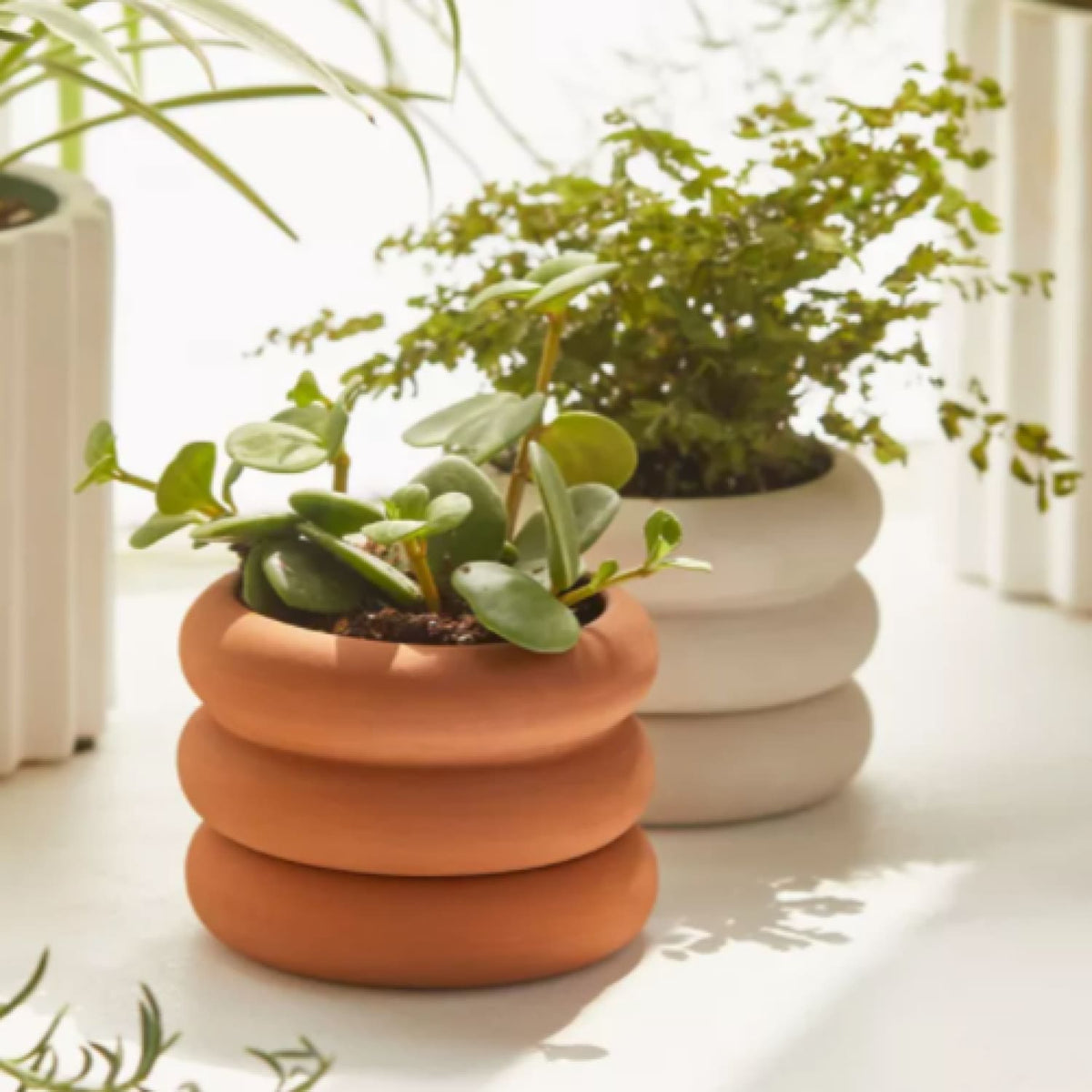 Areaware Mini Stacking Planter Areaware - Elevated Design -