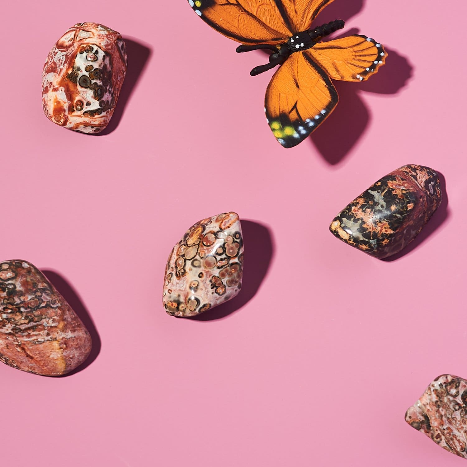 Web only Small Tumbled Crystal Leopard Jasper Crystal -