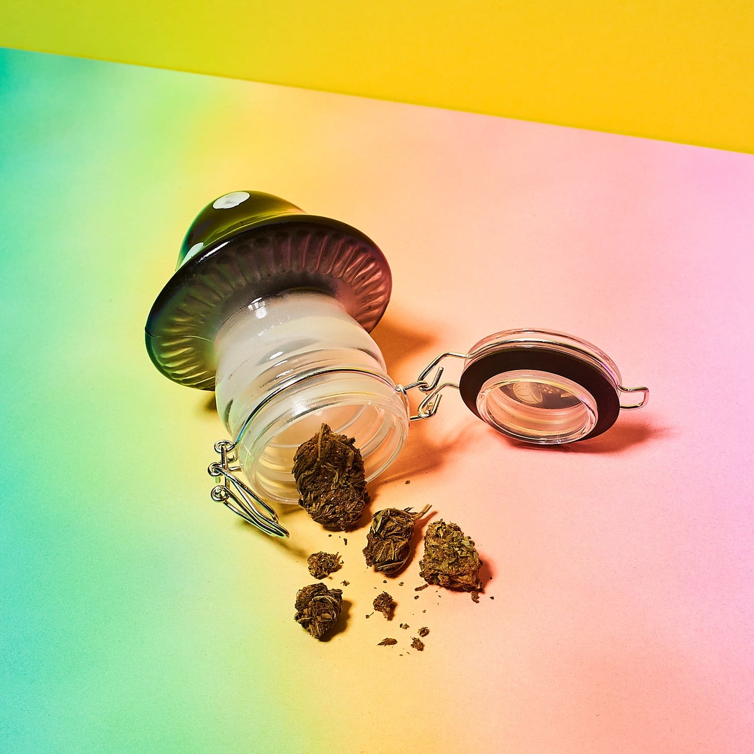 Mushroom Glass Jar Inthegarden