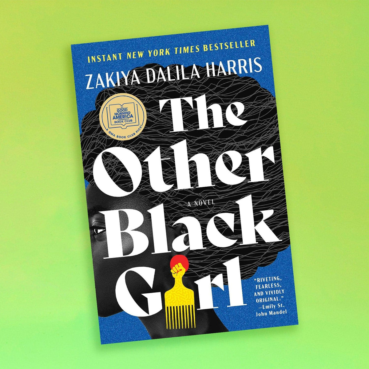 The other Black Girl by Zakiya Dalila Harris Black Author -