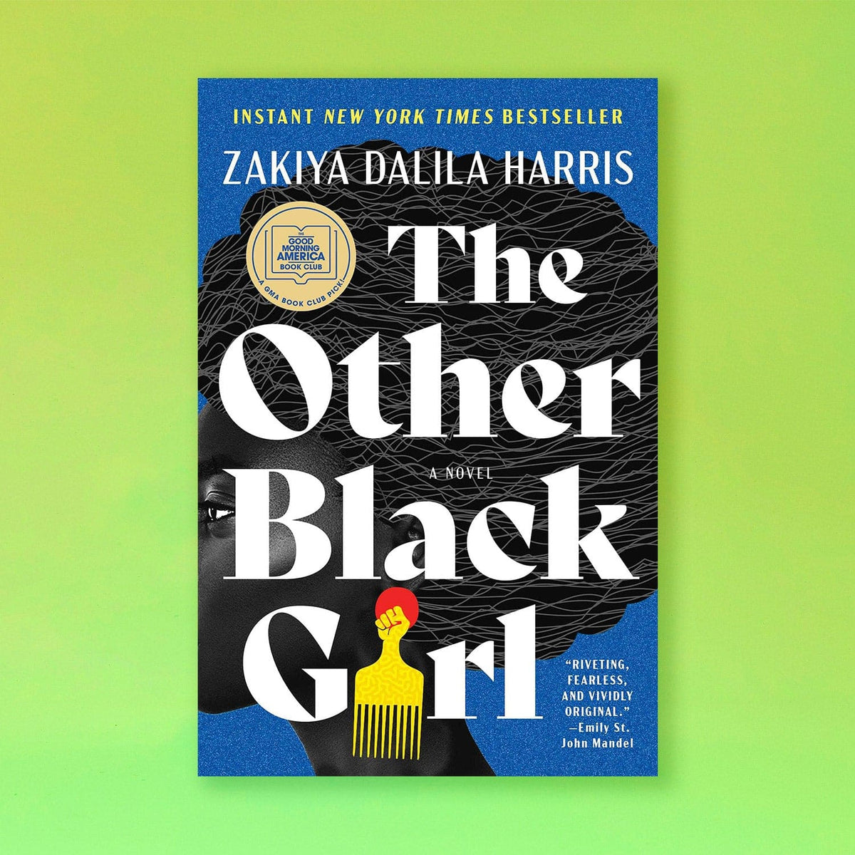 The other Black Girl by Zakiya Dalila Harris Black Author -
