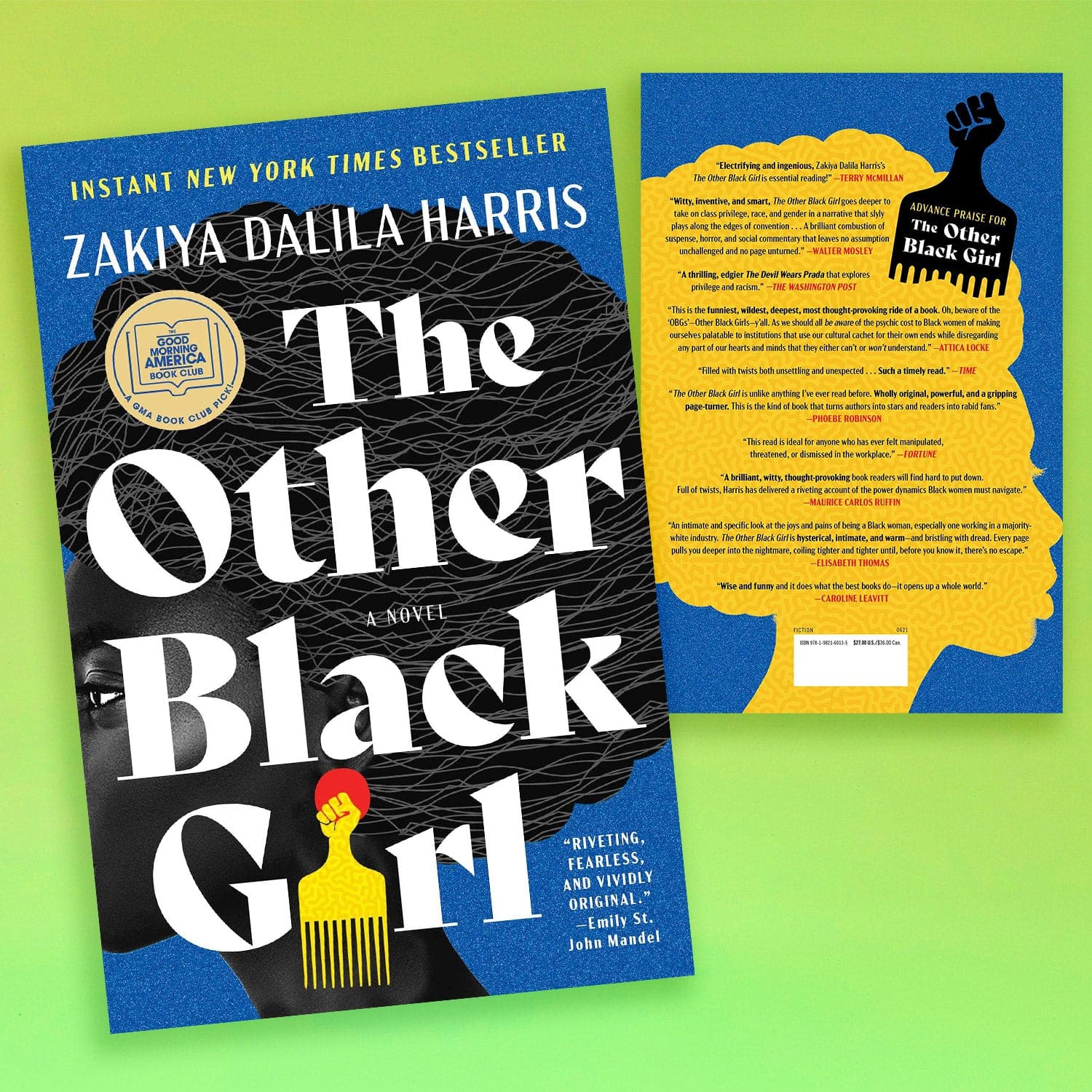The other Black Girl by Zakiya Dalila Harris Black Author -