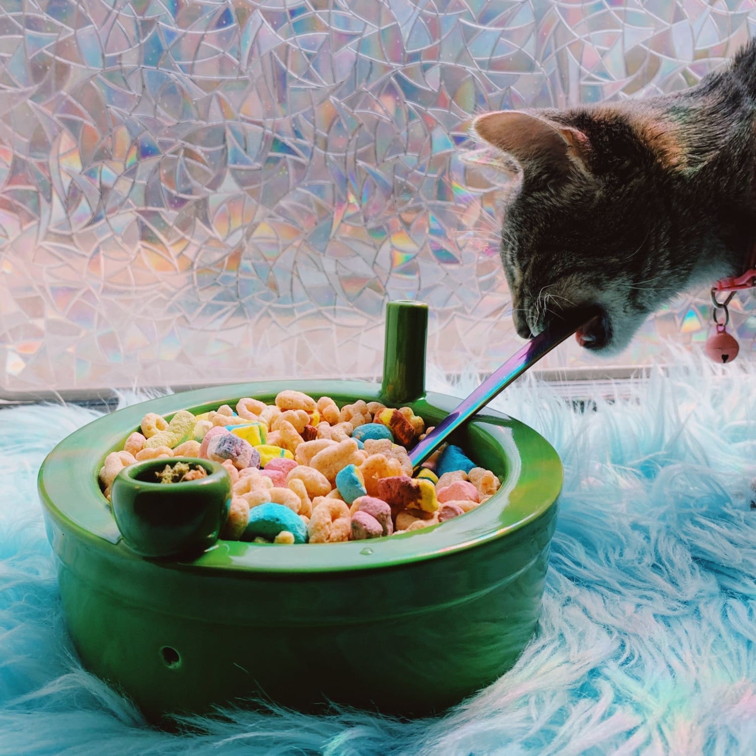 Roast and Toast Cereal Bowl - Green Bff - Cereal Bowl -