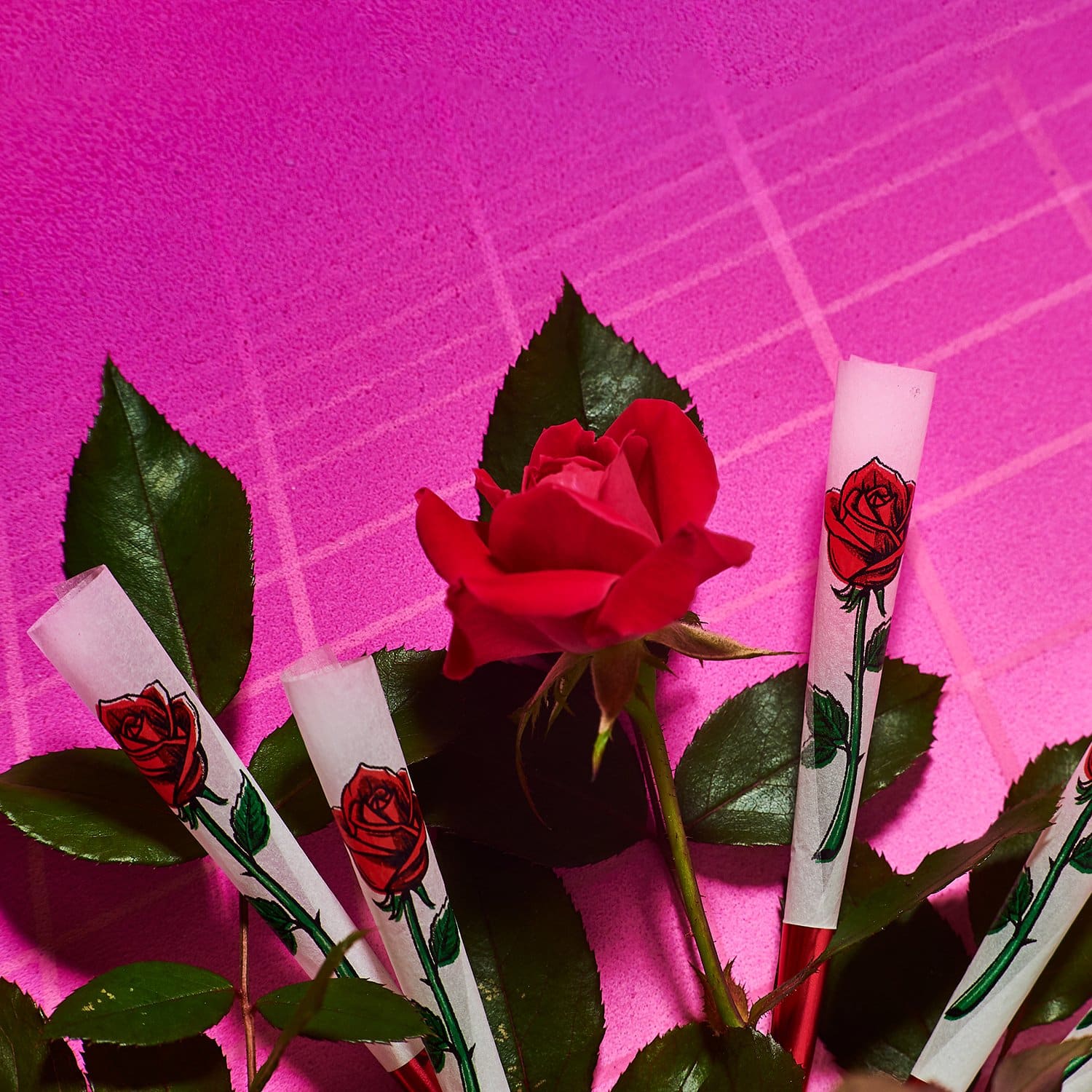 Printed Cones 8 Pack Rose Cannaaugust - Groupbycolor