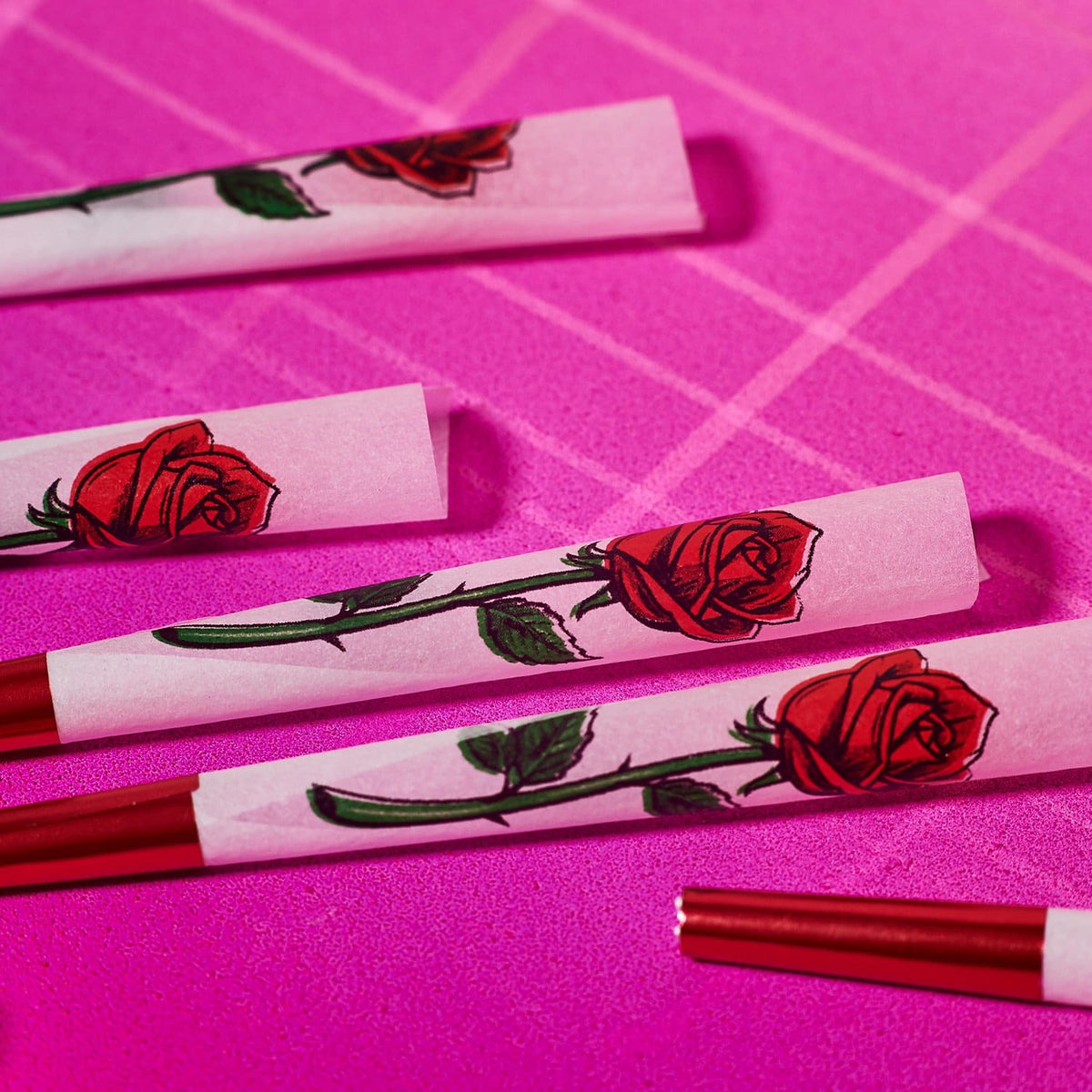 Printed Cones 8 Pack Rose Cannaaugust - Groupbycolor