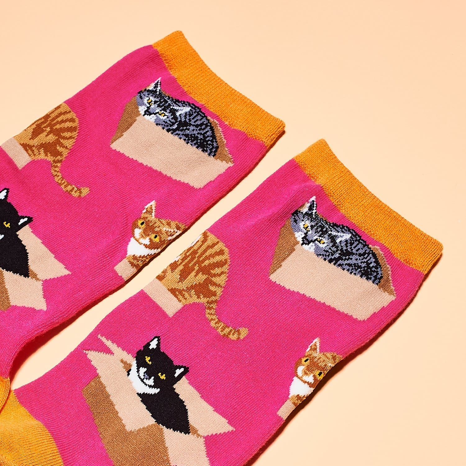 Cat in a Box - Women's Animal Novelty Socks