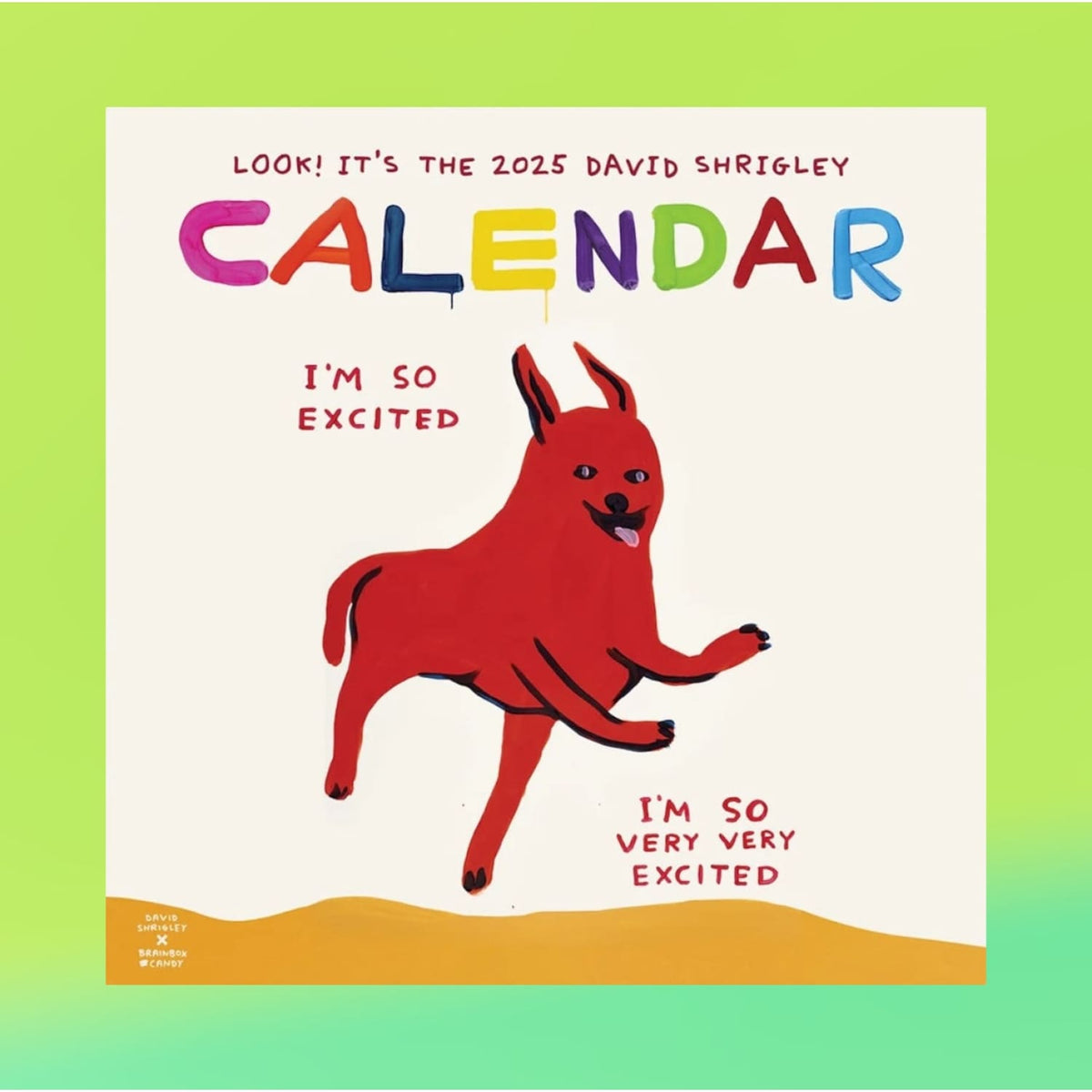 2025 David Shrigley Wall Calendar - Calendar - Calendar25