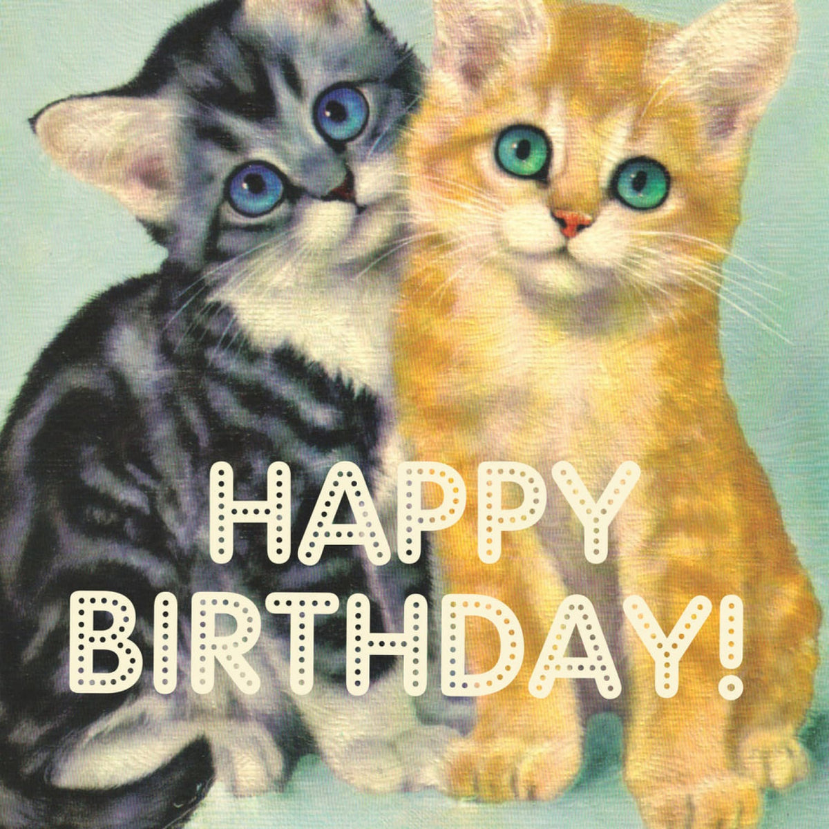 A**hole Cats Birthday Card - Gifts Cat Lover Eco Friendly