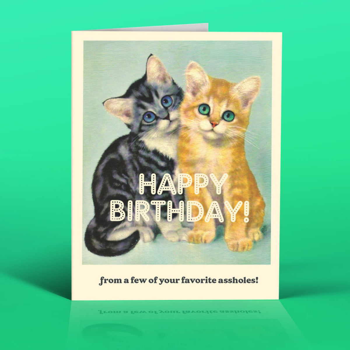 A**hole Cats Birthday Card - Gifts Cat Lover Eco Friendly