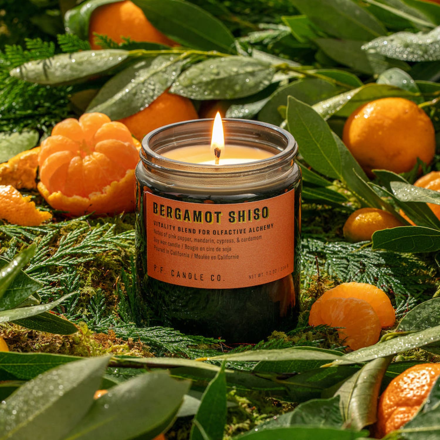 Alchemy Soy Candle Alchemy Candle - Bergamot Shiso - Enoki