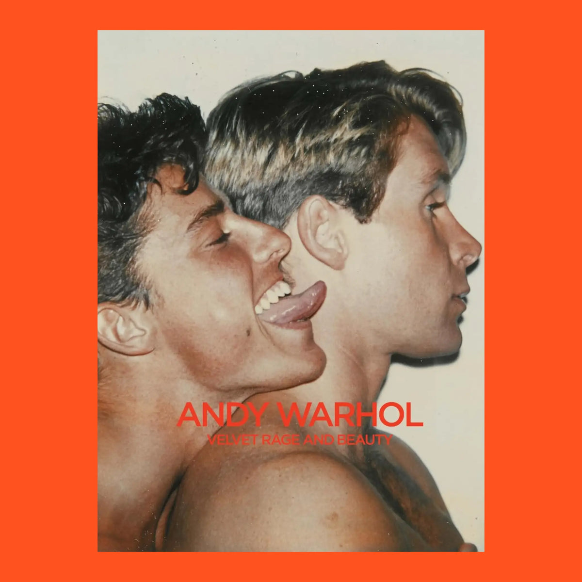 Andy Warhol: Velvet Rage and Beauty | Friends Nyc Brooklyn