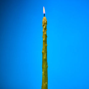 Beeswax Asparagus Taper Candles Set of 2 Candle - Taper