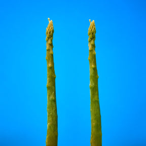 Beeswax Asparagus Taper Candles Set of 2 Candle - Taper