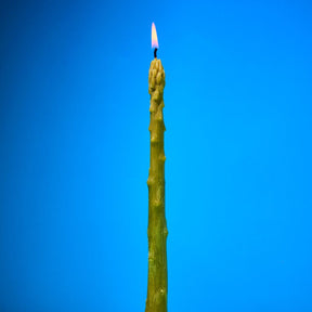 Beeswax Asparagus Taper Candles Set of 2 Candle - Taper