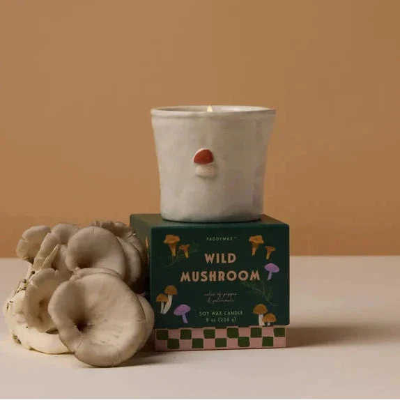 Candle of top of a box next to mushrooms