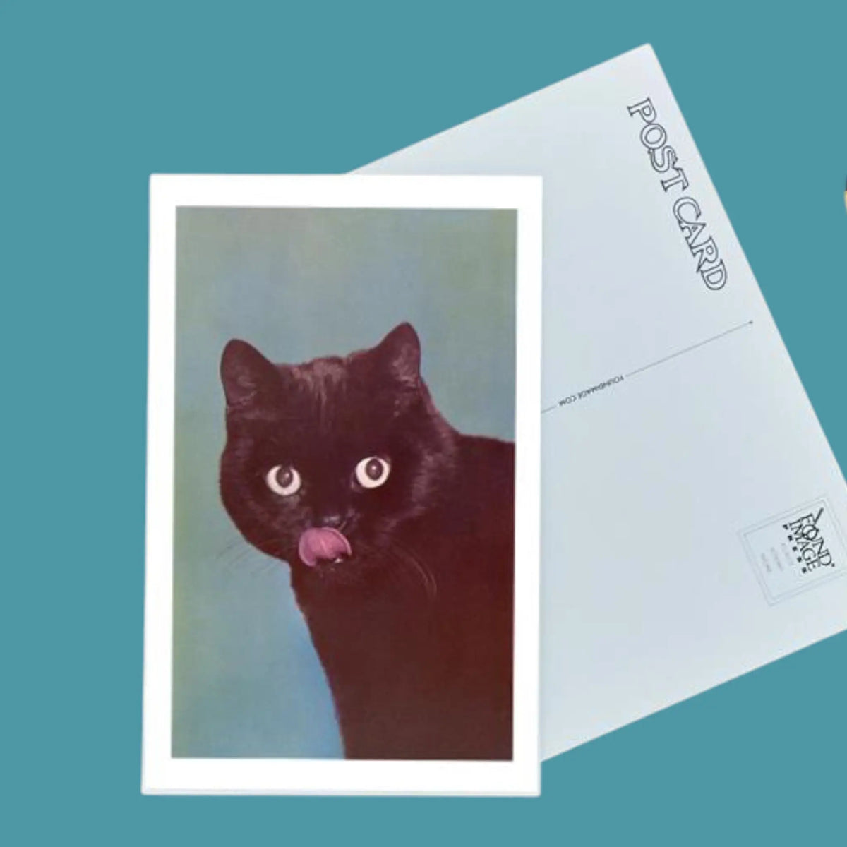 Black Cat Licking Chops Postcard | Friends Nyc Brooklyn Ny