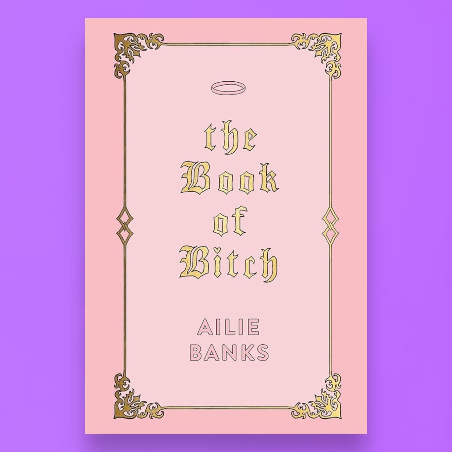 The Book of Bitch Bad Bitch - Bff Gifts - Book - Illustrated