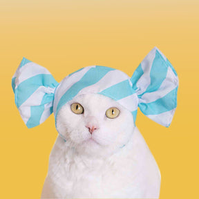 Cat Cap Blind Box Ci Candy Grabngo2022 - Groupbycolor