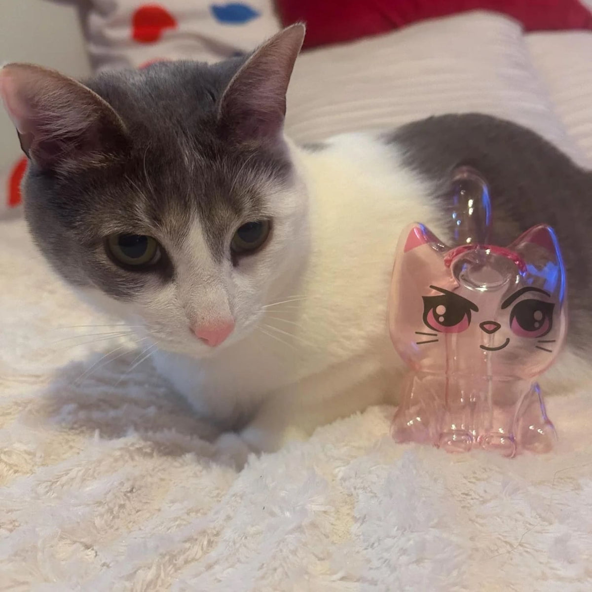 Canna Cat Bubbler Bong Aesthetic Bong - Smoke - Canna Style