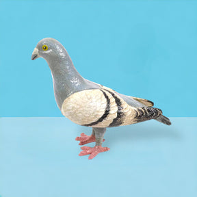 Cast Iron Pigeon Sculpture Accent Decor - Cast Iron - Desk