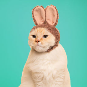 Cat Cap Blind Box Ci Rabbit Grabngo2022 - Groupbycolor
