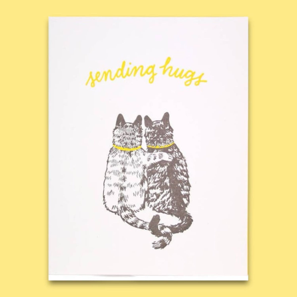 Cat Hugs Sympathy Greeting Card Fake Food - Greeting Card