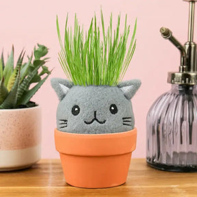 Cat Pal Grow Kit Garden | Friends Nyc Brooklyn Ny