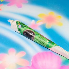 Catnip Joint Cat - Catnip - Daphnivif - Joint - Pet
