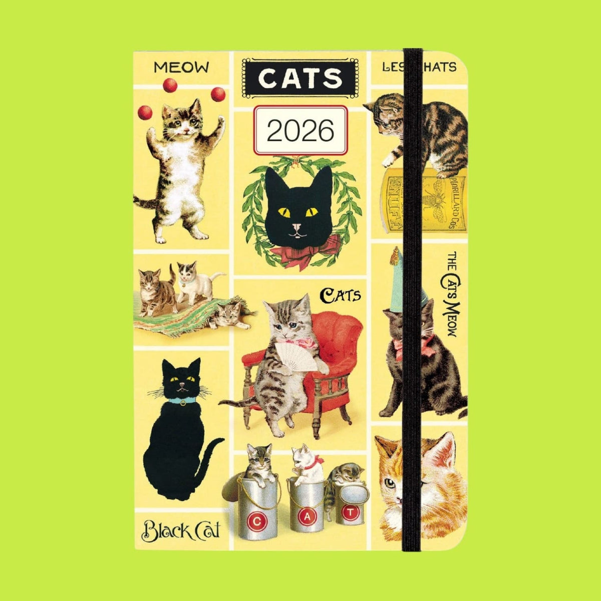 Cats 2026 Weekly Planner Calendar26 Cat Accessories Gift