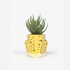 Cheetah Plant Pot Animal Novelty - Planter - Print - Cheetah
