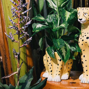 Cheetah Plant Pot Animal Novelty - Planter - Print - Cheetah