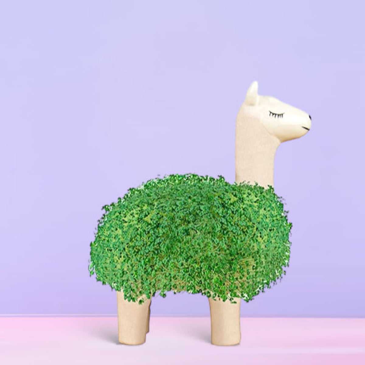 Chia Seed Animal Planter - For Mom Gifts Gardening Indoor