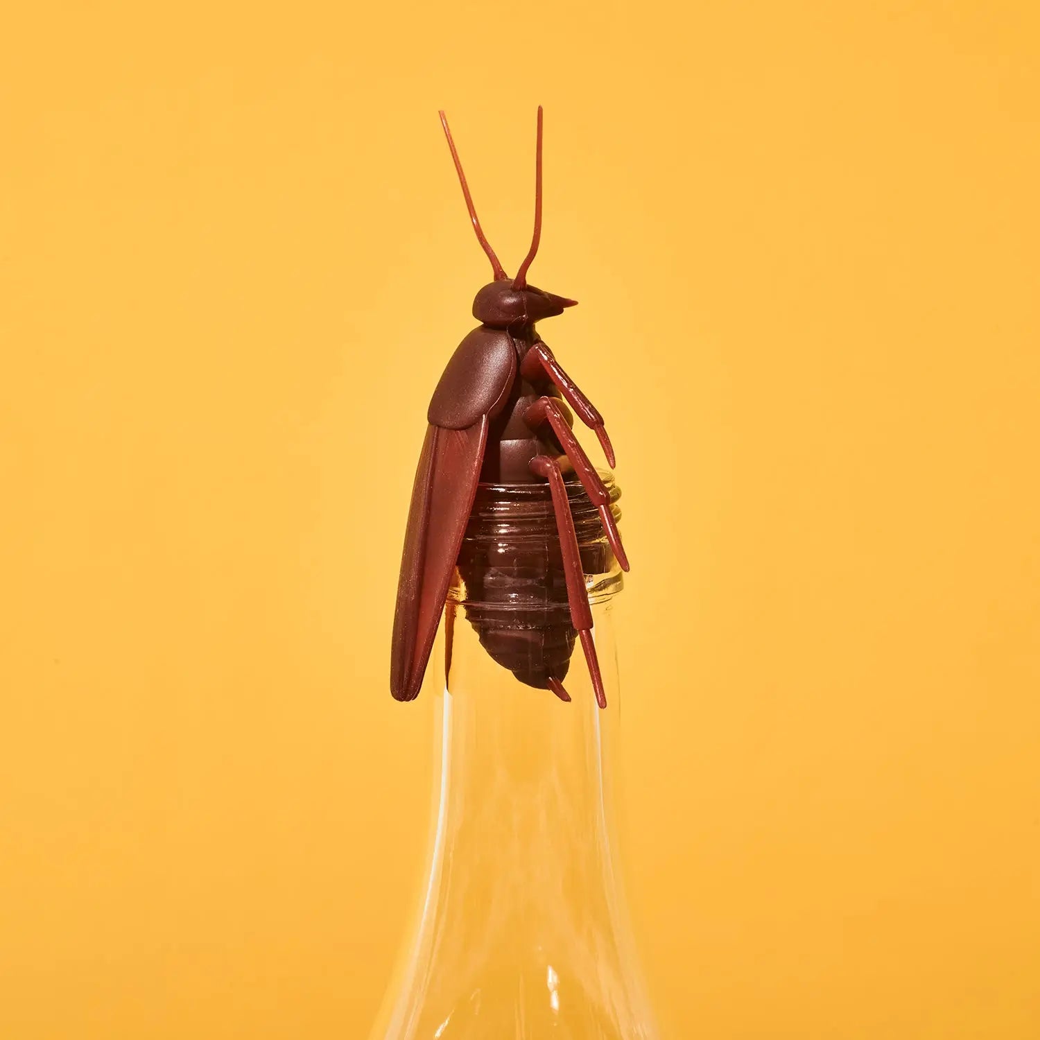 Cockroach Bottle Stopper | Friends Nyc Brooklyn Ny