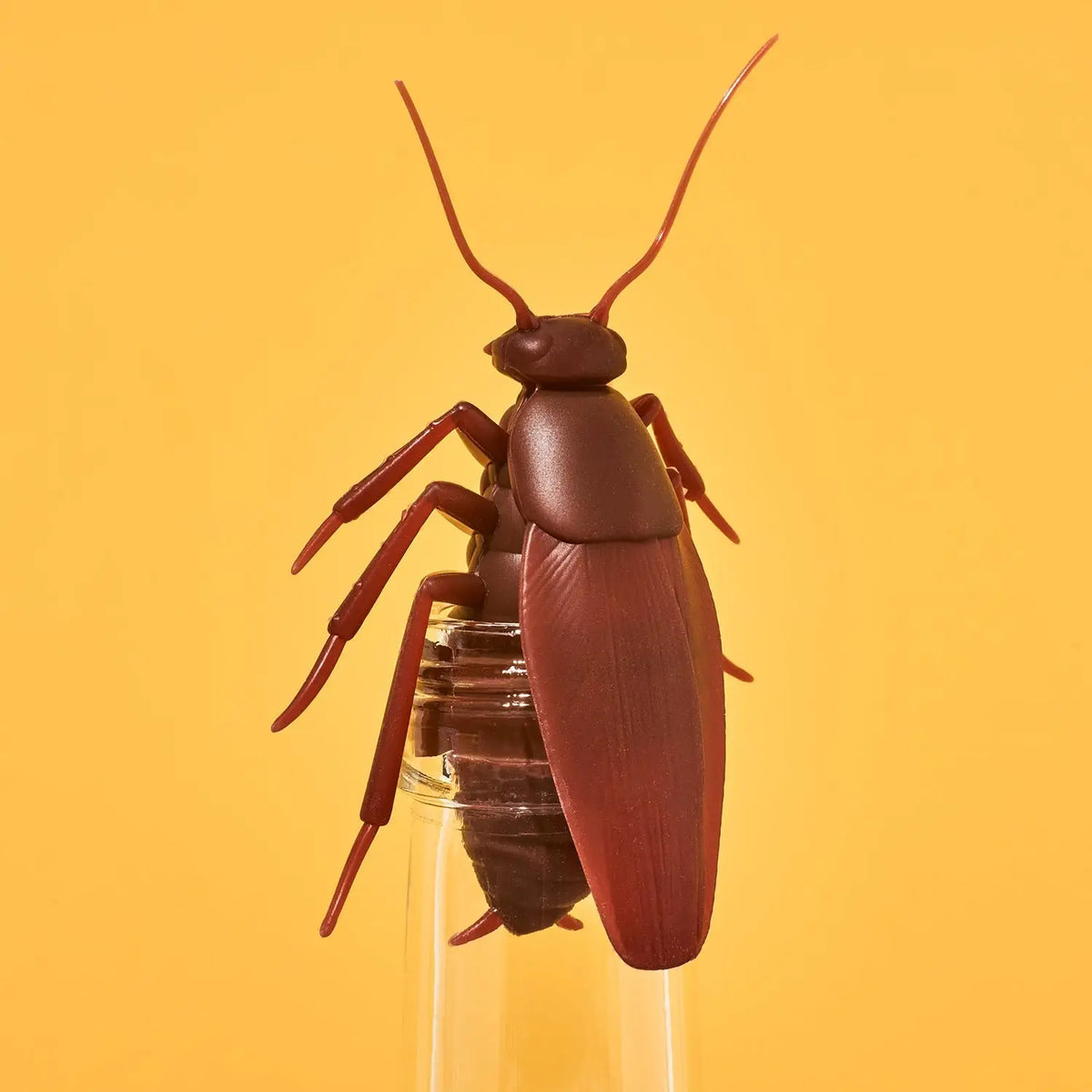 Cockroach Bottle Stopper | Friends Nyc Brooklyn Ny