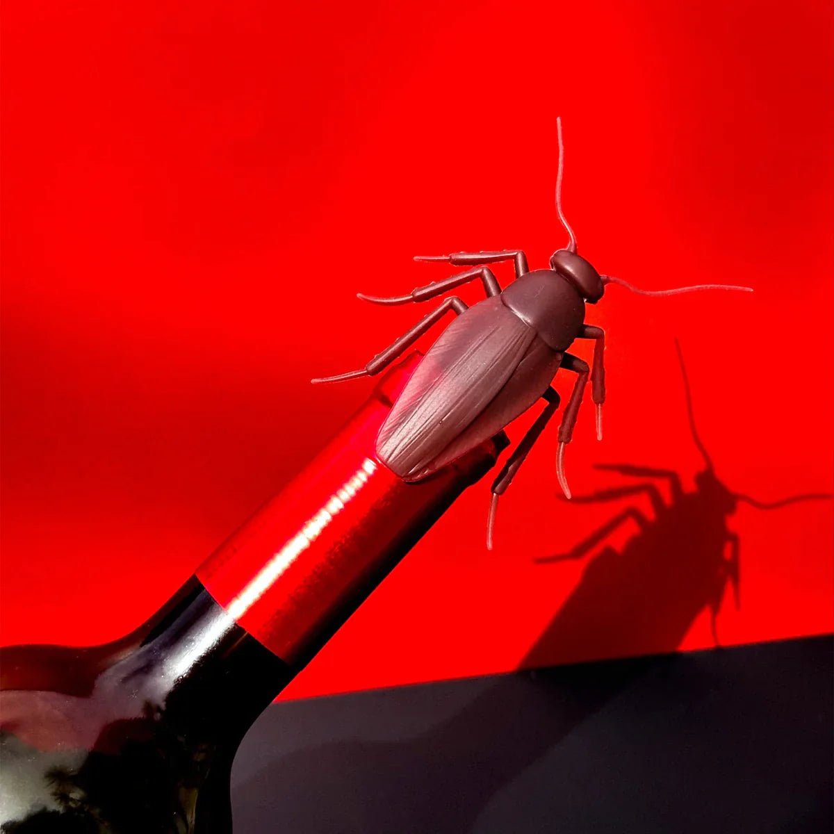 Cockroach Bottle Stopper | Friends Nyc Brooklyn Ny