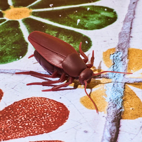 Cockroach Bottle Stopper | Friends Nyc Brooklyn Ny