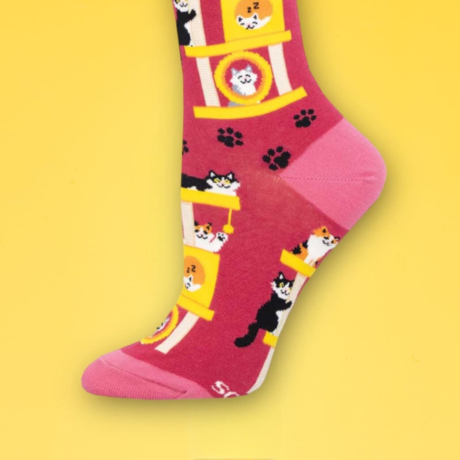 Cool Cats Pink - Women’s Novelty Socks Animal Novelty