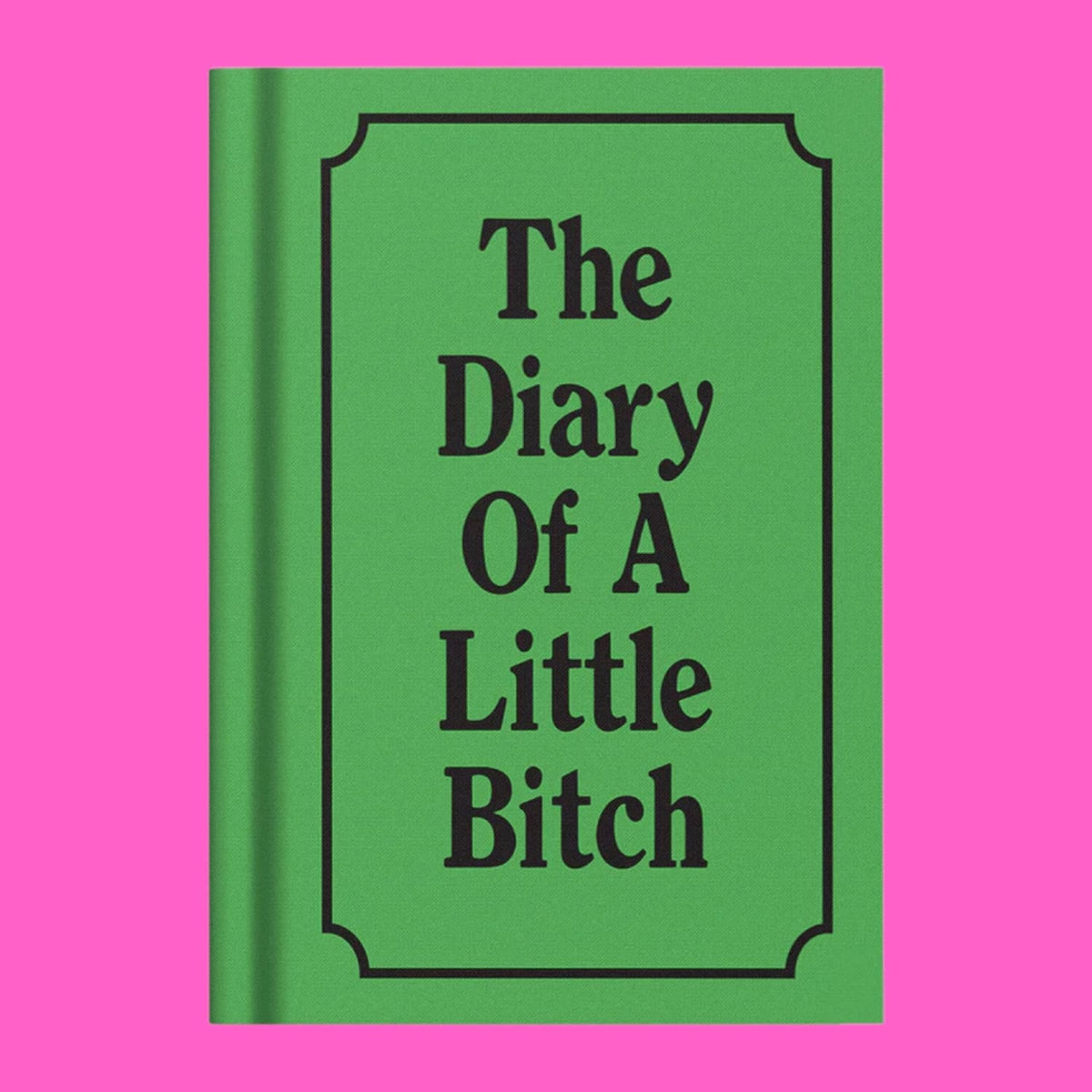The Diary of a Little Bitch Xdiscountable - Xpsd0925b