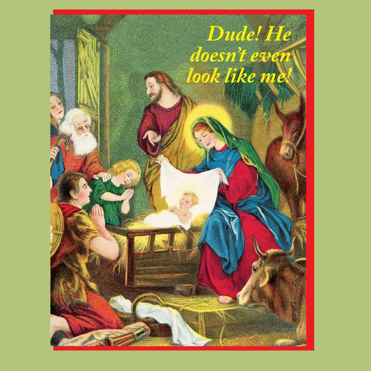 Dude! he Doesn’t Even Look Like Me! Holiday Card Funny